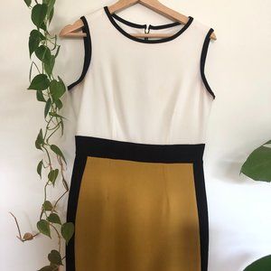 Sandra Darren Sleeveless Color Block Dress